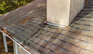 AdobeStock_465163660 AdobeStock_465163660