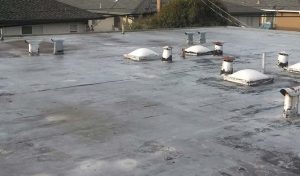 flat-roof flat-roof